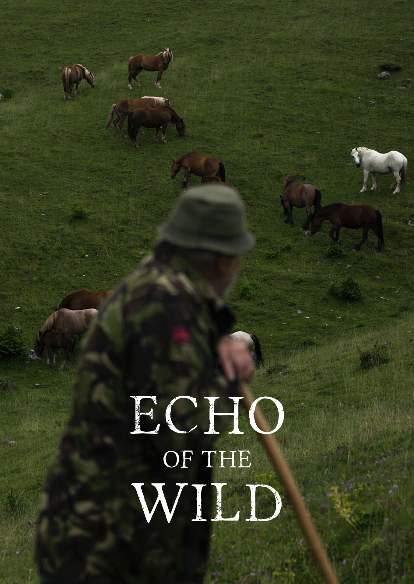 Echo of the Wild