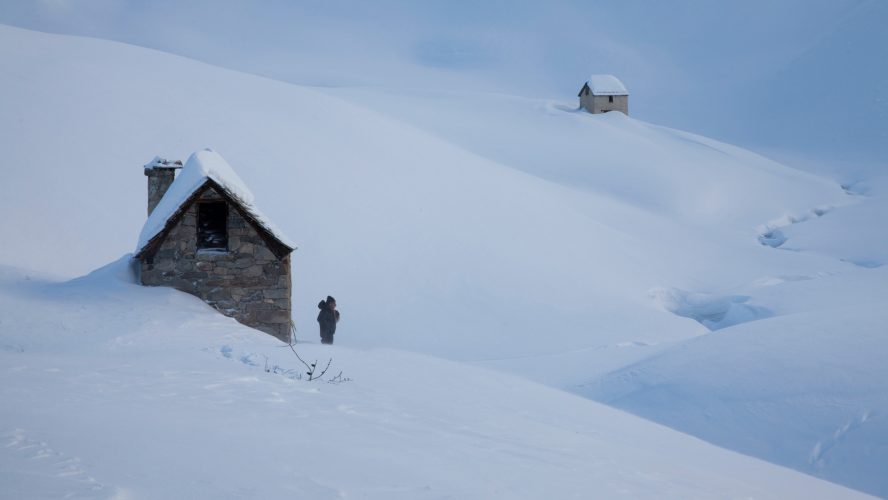 ECRINS DE VIE_featured