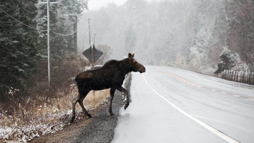 FIRST SNOWFALLS IN ONTARIO_featured