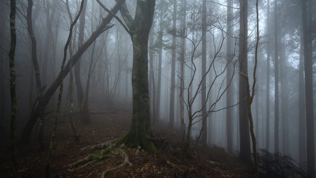 Kumano_3